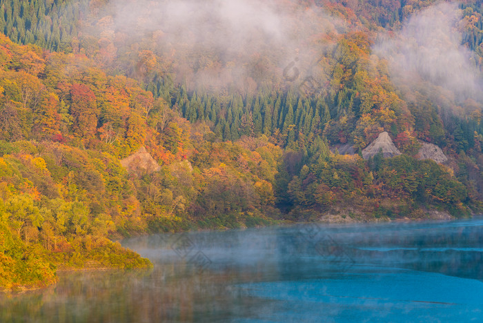 起雾的湖水树木风景