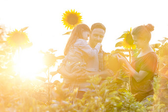 暖色向日葵地中的家人摄影图