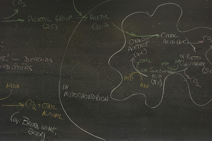暗色黑板上的公式摄影图