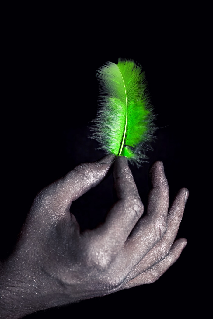 暗色调手中的绿色羽毛摄影图