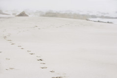 简约沙滩中的脚印摄影图