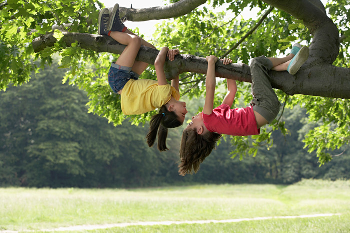 爬树的两个女童摄影图