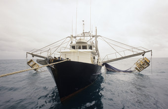 白色游艇渔船摄影图