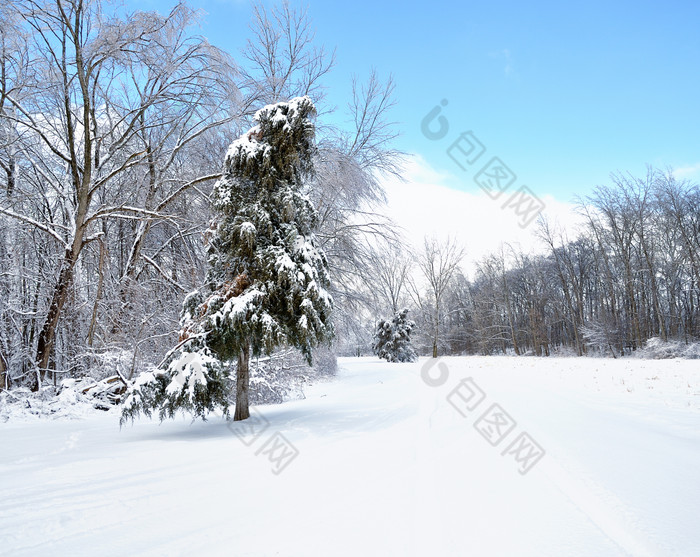 蓝色调雪地的美景摄影图