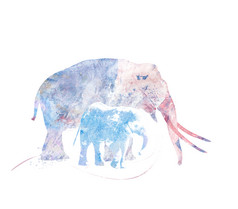 大象两个水彩颜料数字的