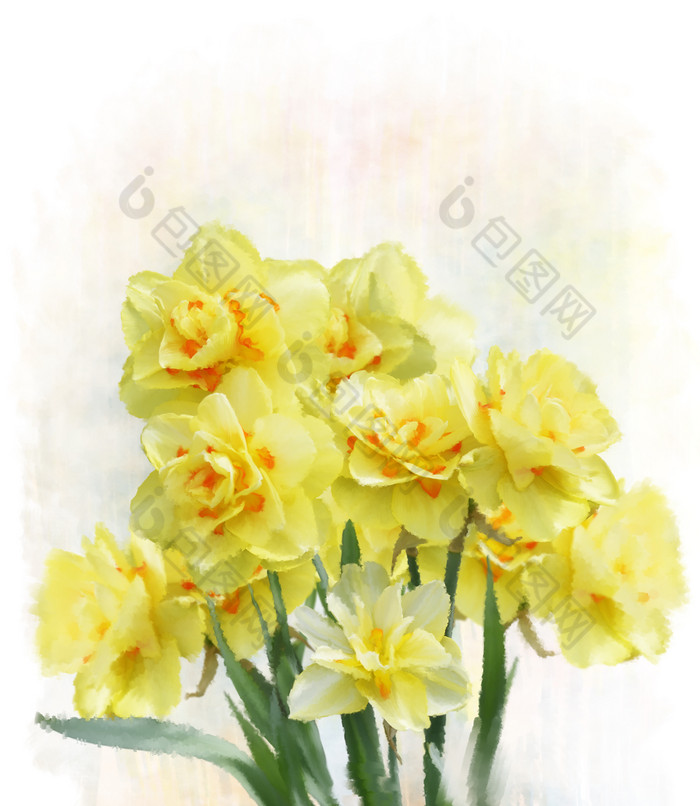 黄色鲜花花束摄影图