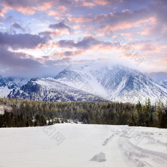 冬季白雪覆盖的风景图