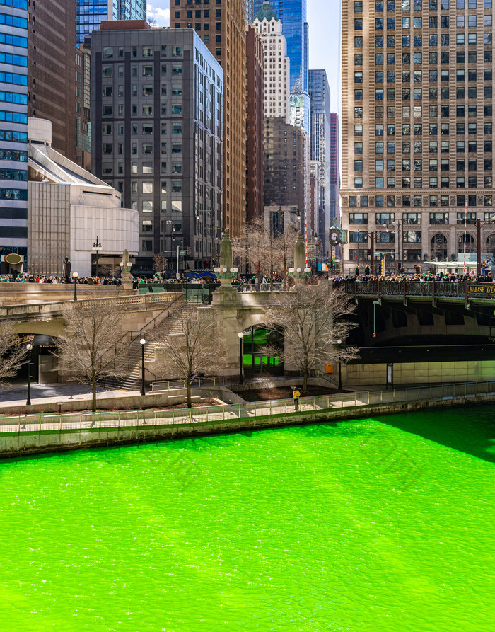 芝加哥绿色草坪摄影图