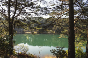 山水画风景画风景摄影森林