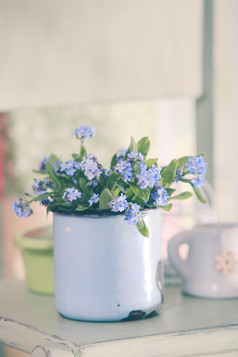 茶缸里的紫色花朵