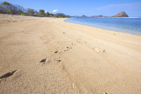 沙滩上的一串脚印