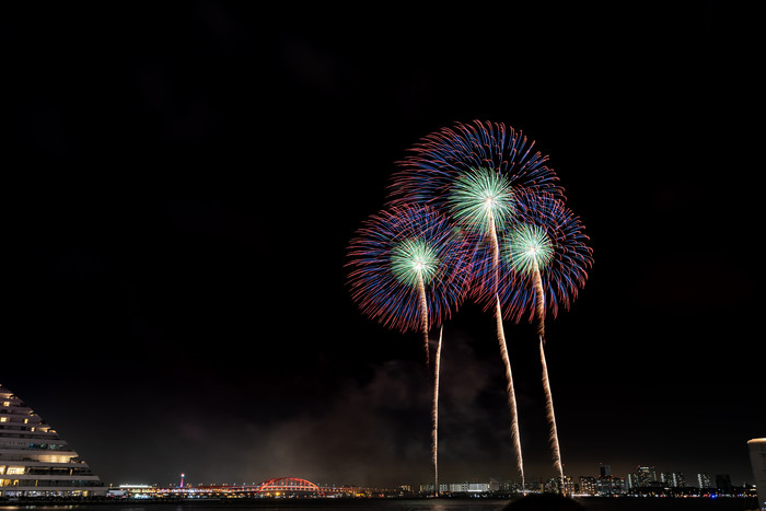 夜空中的烟花摄影图