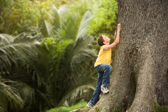 暗色调爬树的孩子摄影图