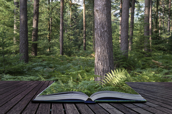 暗色调书本中的大树林摄影图