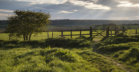 英格兰牧场草原风景