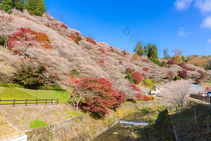 小清新大山美景摄影图