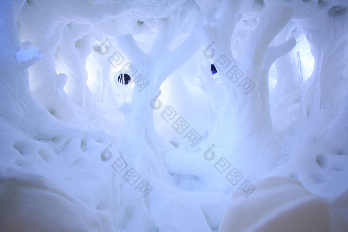 蓝色调雪中美景摄影图