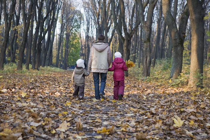 树林里牵手的大人和孩子