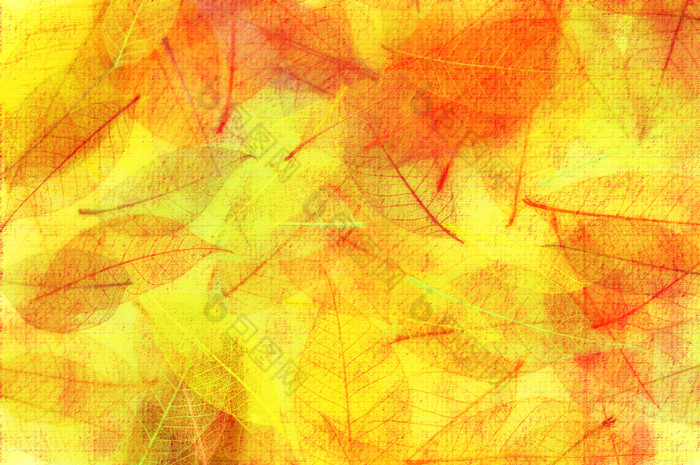 暖色调秋天的叶子摄影图