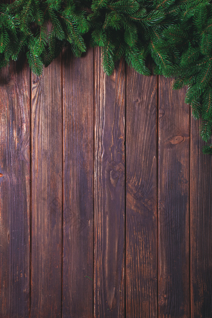 木板上的圣诞节植物冬青