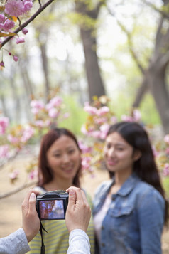 清新花园拍照的女人摄影图