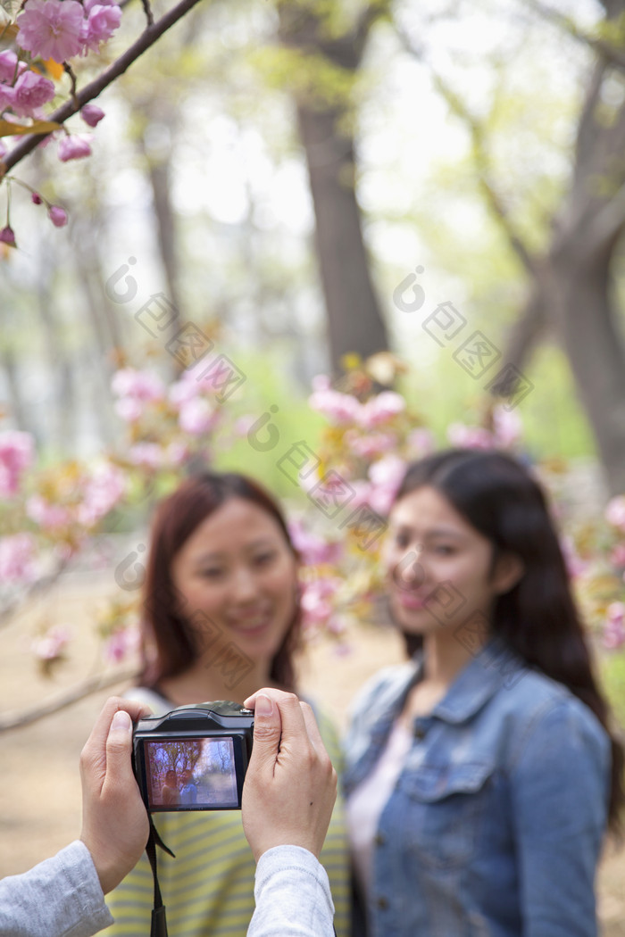 清新花园拍照的女人摄影图