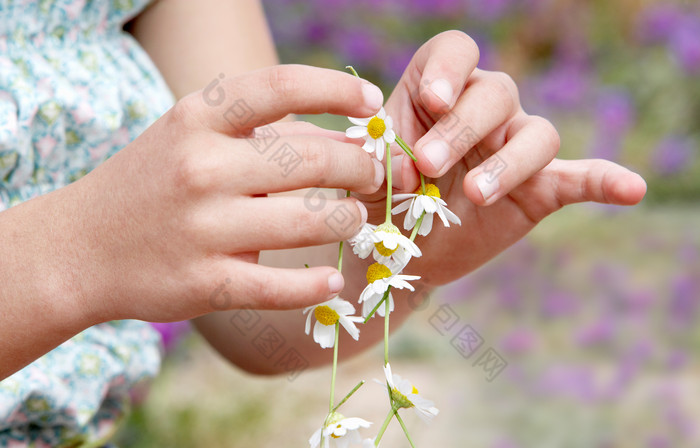 清新手中的鲜花摄影图