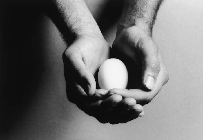 灰色调手中的鸡蛋摄影图