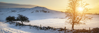 阳光下的美丽雪景摄影图