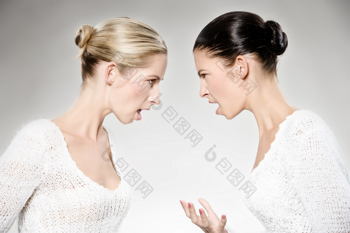 暗色调吵架的两个女人摄影图