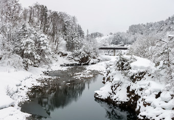 灰色调美丽雪后景色摄影图