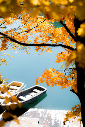 秋季停靠在岸边的小船