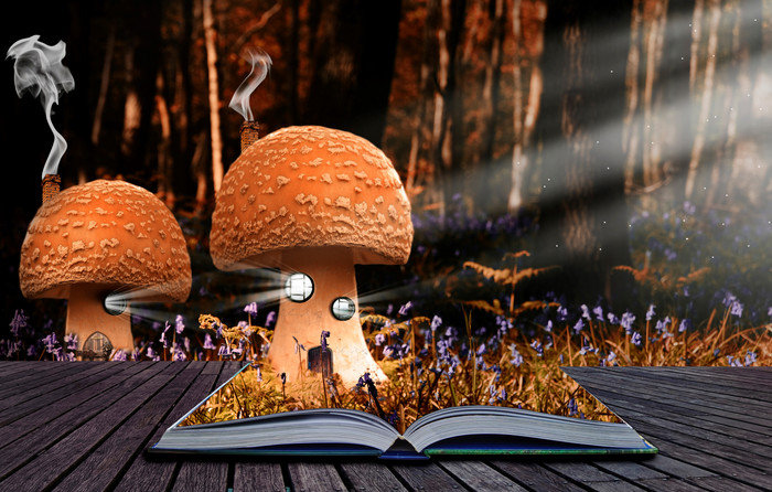 暗色调卡通蘑菇摄影图