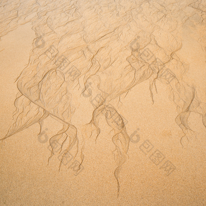 黄色沙子上的纹理摄影图