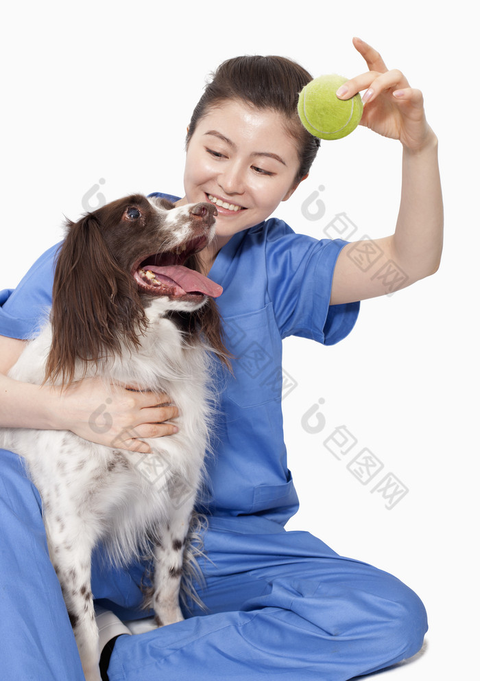 兽医跟狗玩耍摄影图