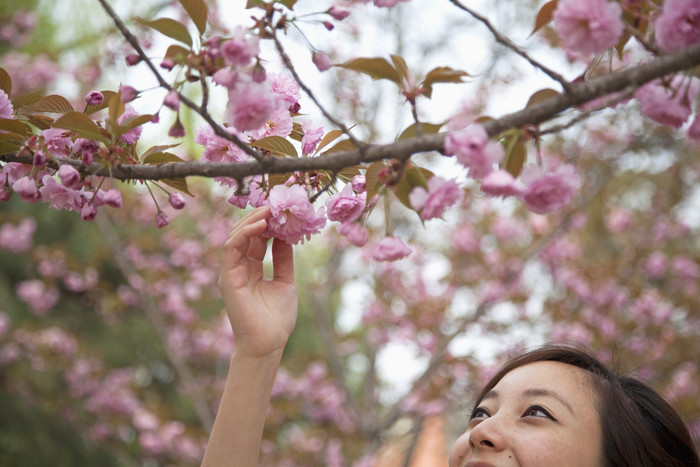 清新摘花的女人摄影图