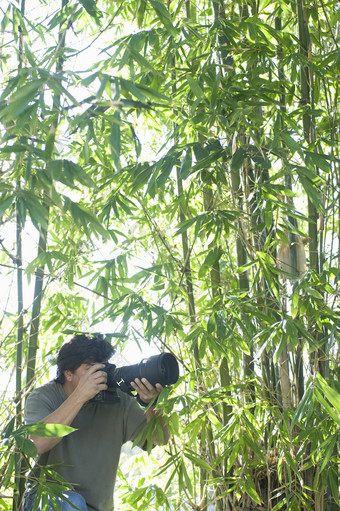 绿色调竹林中拍摄摄影图