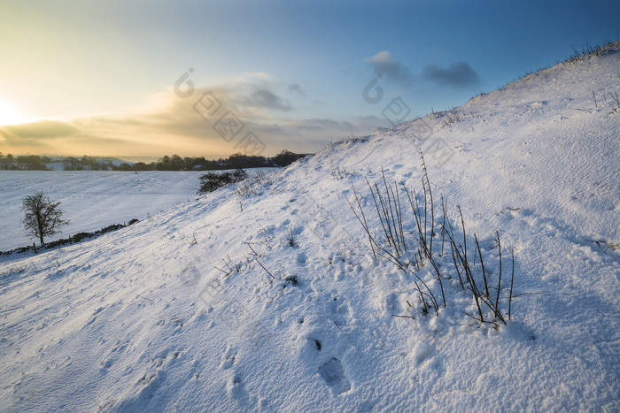 冬季雪地自然景色