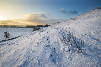 冬季雪地<strong>自然景色</strong>