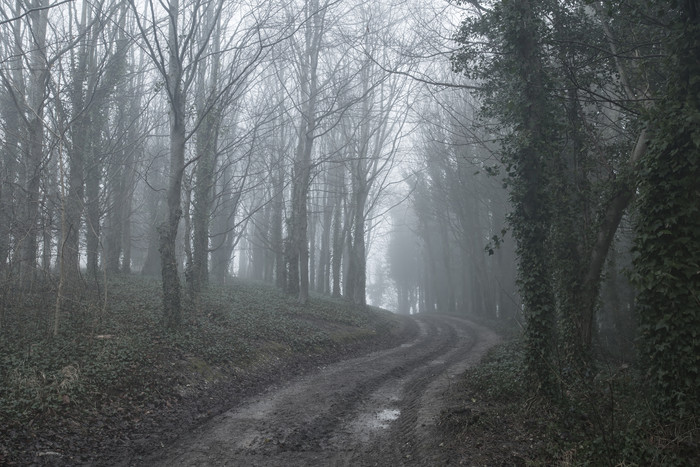 起雾的山林小路摄影图