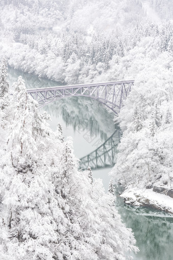 冬季树林中的桥梁