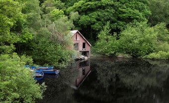 绿色调丛林中的湖水摄影图