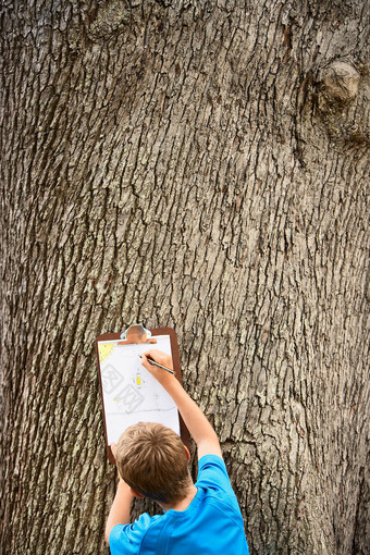 暗色调在树上写字的孩子摄影图