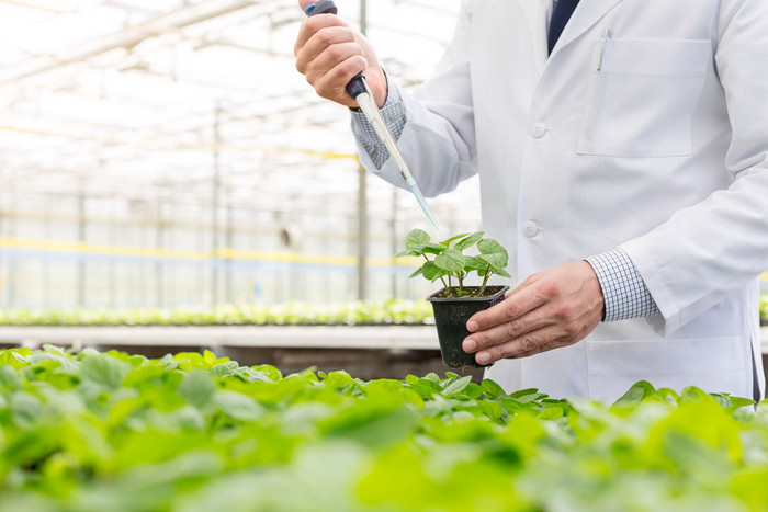 清新植物学家摄影图