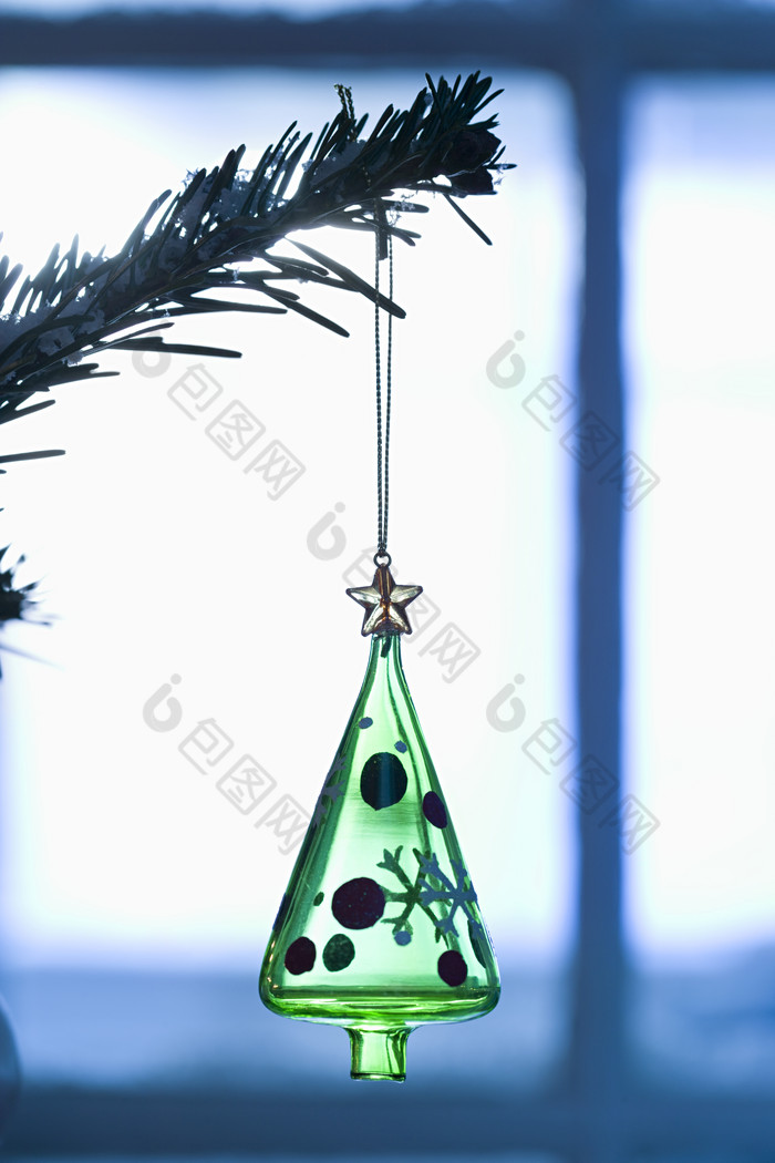 圣诞节玻璃瓶吊坠