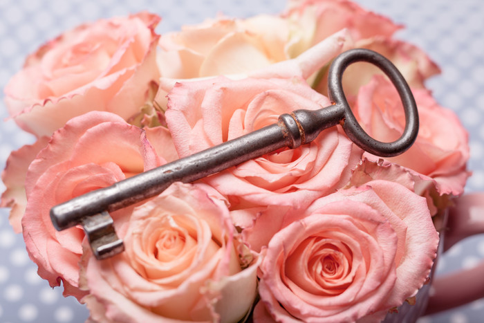 粉玫瑰上的钥匙摄影图