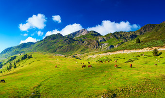 清新<strong>漂亮</strong>山的<strong>风景</strong>摄影图