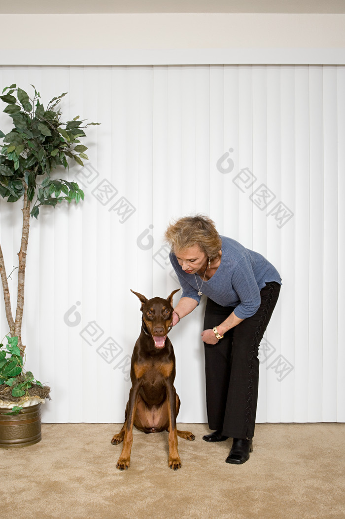 暗色调训练狗的老人摄影图