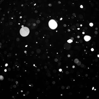 夜晚白色飘雪摄影图