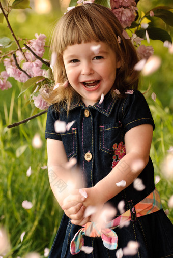 玩花瓣的小女孩摄影图